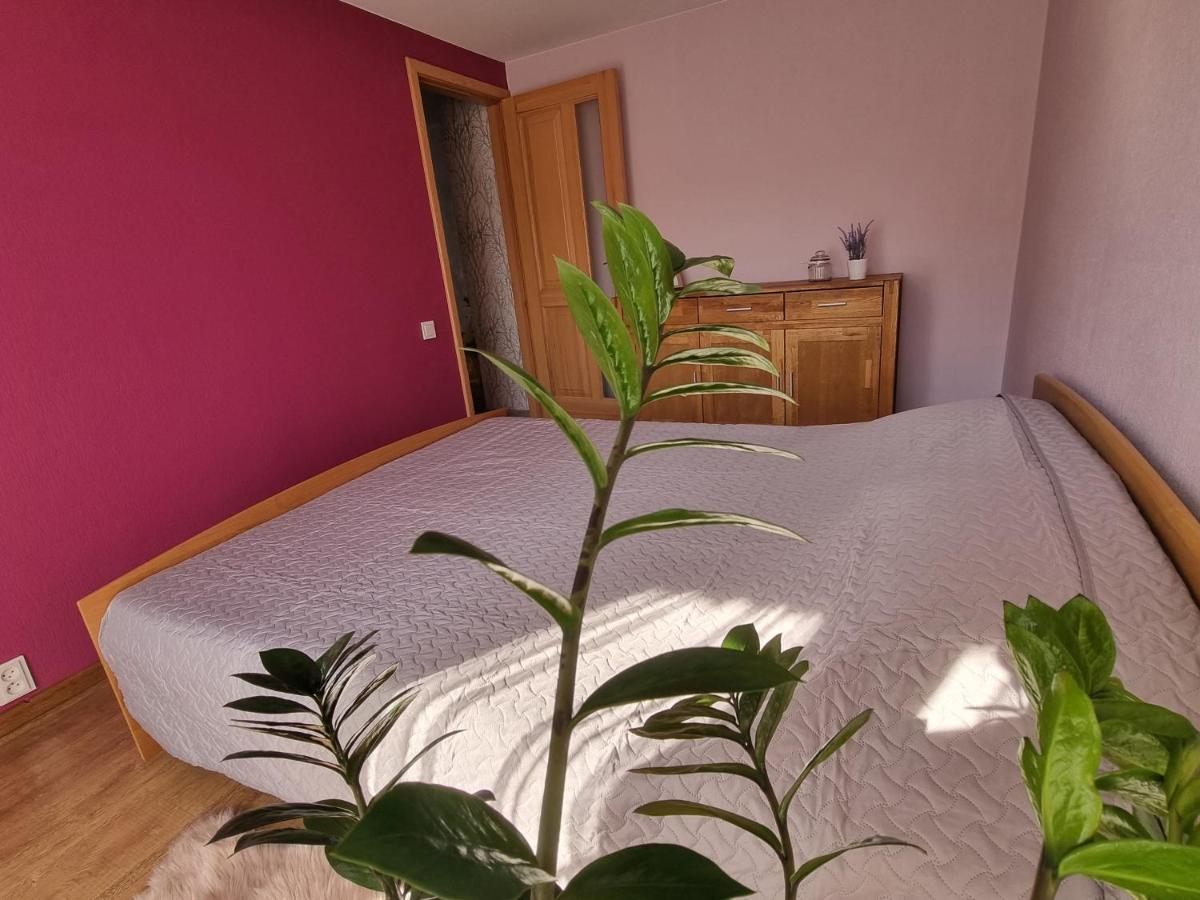Appartement Kursi *